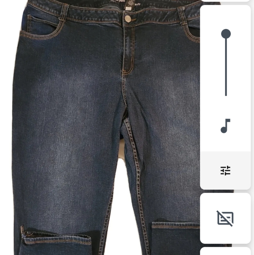 Lane Bryant Jeans